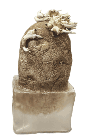 Sprouting potato sculpture